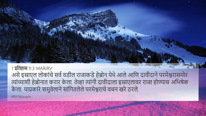 1 इतिहास 11:3 MARIRV Bible Verse Image