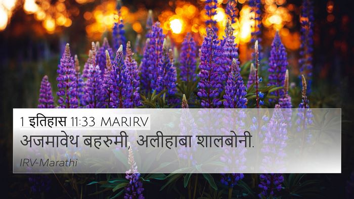 1 इतिहास 11:33 MARIRV Bible Verse Image