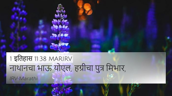 1 इतिहास 11:38 MARIRV 4K Wallpaper - नाथानचा भाऊ योएल, - 4K Wallpaper Bible Verse