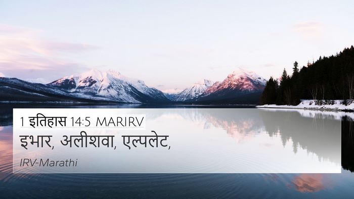 1 इतिहास 14:5 MARIRV Bible Verse Image