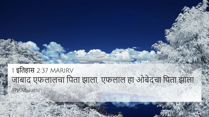 1 इतिहास 2:37 MARIRV 4K Wallpaper - जाबाद एफलालचा - 4K Wallpaper Bible Verse