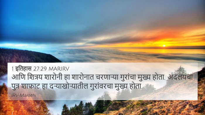 1 इतिहास 27:29 MARIRV Bible Verse Image