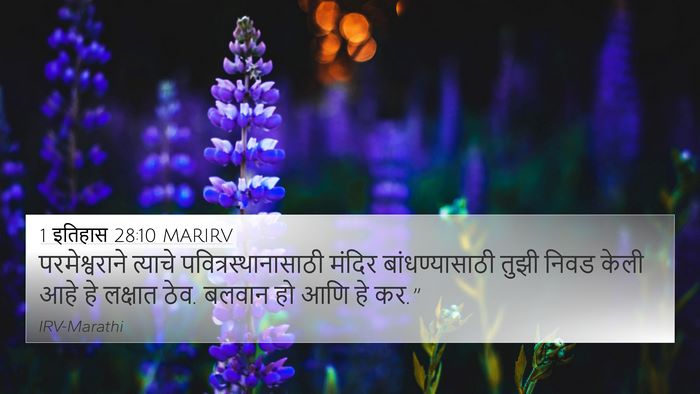 1 इतिहास 28:10 MARIRV Bible Verse Image