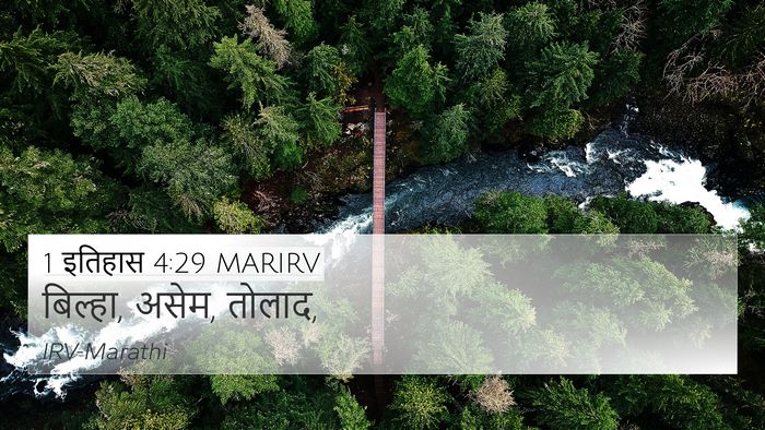 1 इतिहास 4:29 MARIRV Bible Verse Image