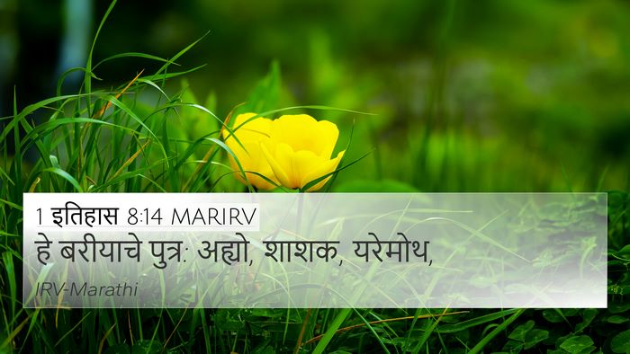 1 इतिहास 8:14 MARIRV 4K Wallpaper - हे बरीयाचे पुत्र: - 4K Wallpaper Bible Verse