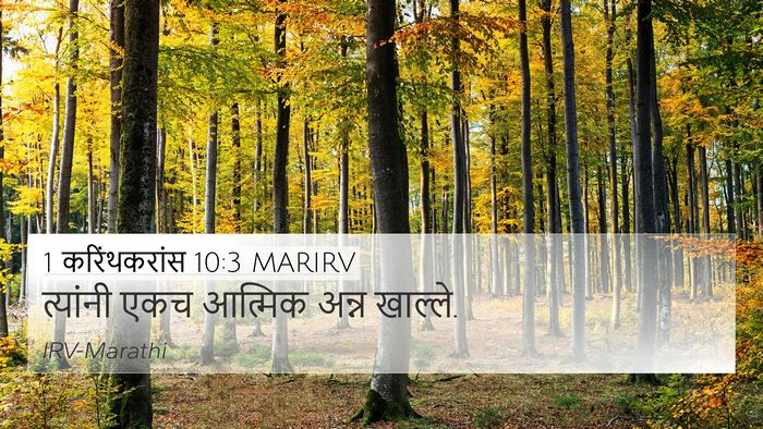 1 करिंथकरांस 10:3 MARIRV 4K Wallpaper - त्यांनी एकच - 4K Wallpaper Bible Verse