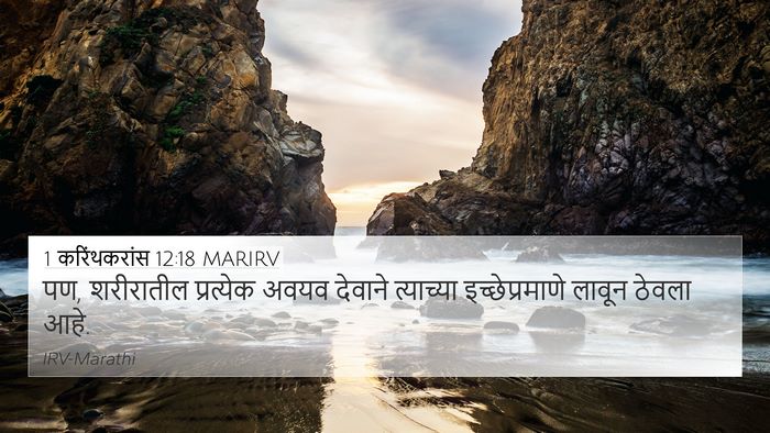 1 करिंथकरांस 12:18 MARIRV Bible Verse Image
