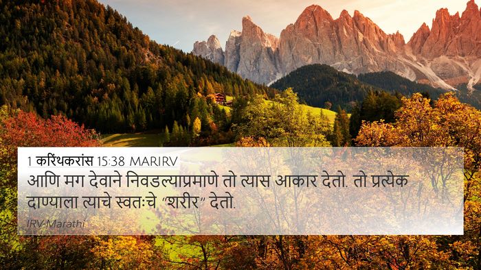 1 करिंथकरांस 15:38 MARIRV 4K Wallpaper - आणि मग देवाने - 4K Wallpaper Bible Verse