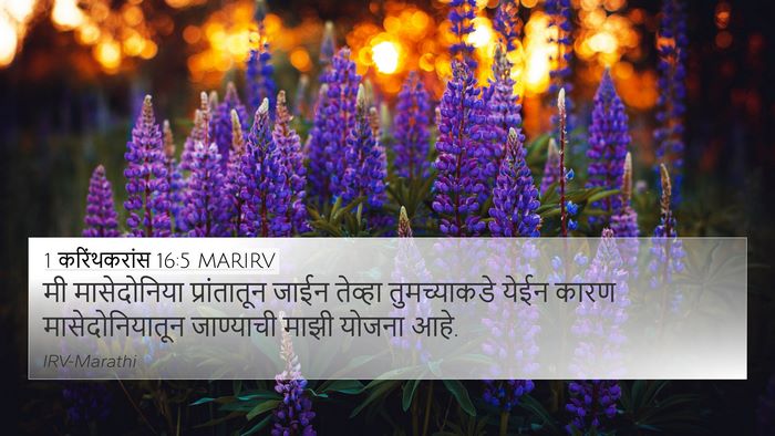 1 करिंथकरांस 16:5 MARIRV Bible Verse Image