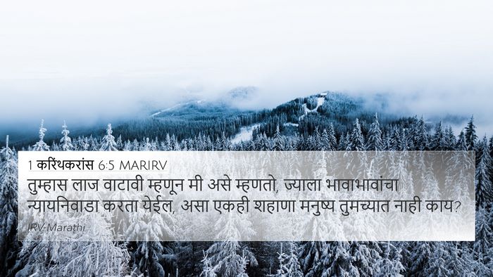 1 करिंथकरांस 6:5 MARIRV Bible Verse Image