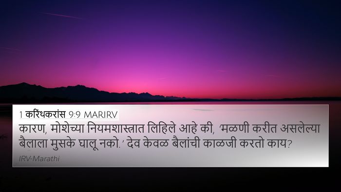 1 करिंथकरांस 9:9 MARIRV Bible Verse Image