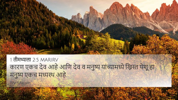 1 तीमथ्याला 2:5 MARIRV Bible Verse Image