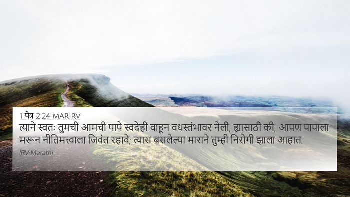 1 पेत्र 2:24 MARIRV Bible Verse Image