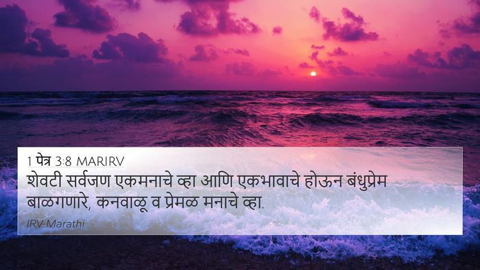 1 पेत्र 3:8 MARIRV Bible Verse Image