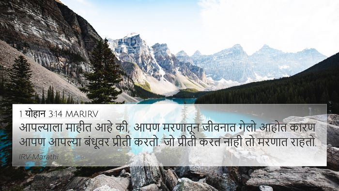 1 योहान 3:14 MARIRV Bible Verse Image
