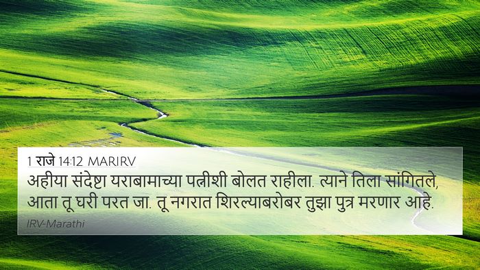 1 राजे 14:12 MARIRV Bible Verse Image