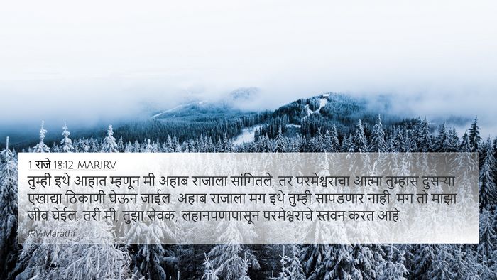 1 राजे 18:12 MARIRV Bible Verse Image