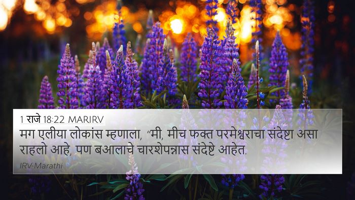 1 राजे 18:22 MARIRV Bible Verse Image