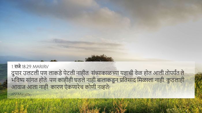 1 राजे 18:29 MARIRV Bible Verse Image