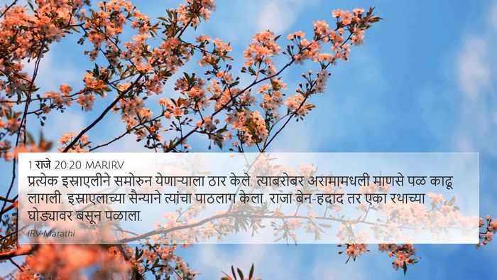 1 राजे 20:20 MARIRV Bible Verse Image