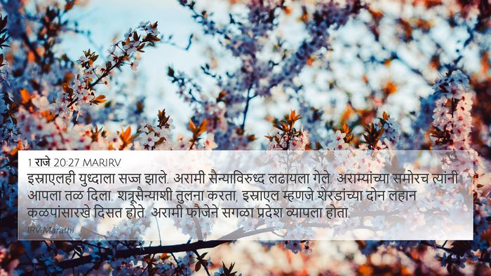 1 राजे 20:27 MARIRV Bible Verse Image