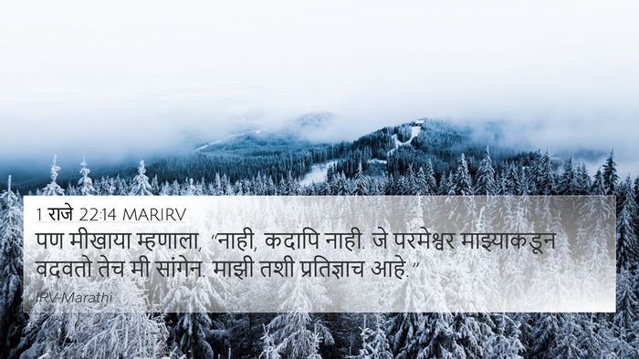1 राजे 22:14 MARIRV Bible Verse Image