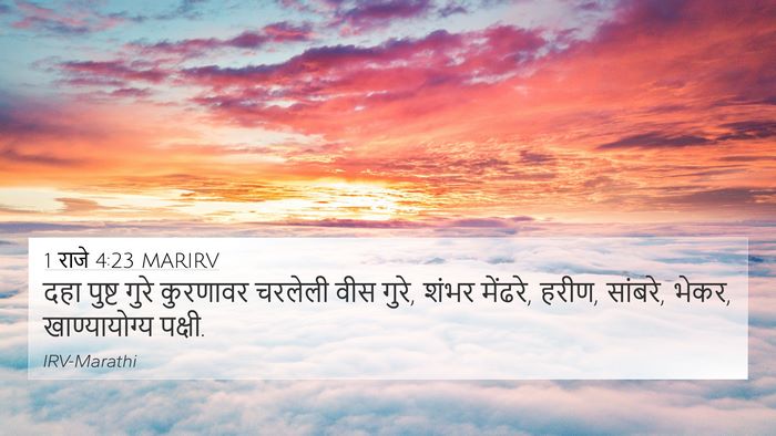 1 राजे 4:23 MARIRV Bible Verse Image