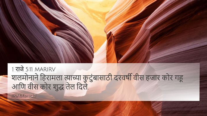 1 राजे 5:11 MARIRV Bible Verse Image