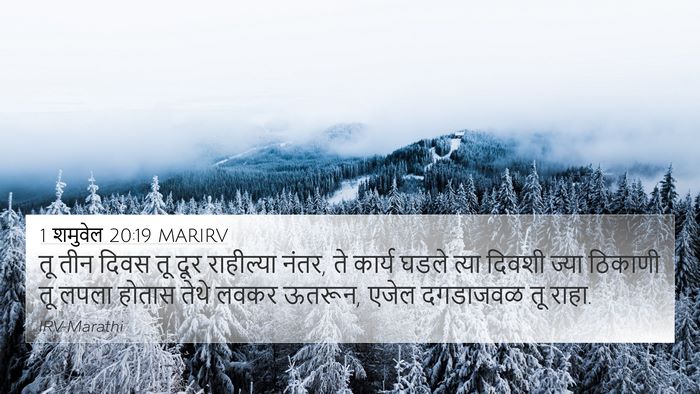 1 शमुवेल 20:19 MARIRV Bible Verse Image