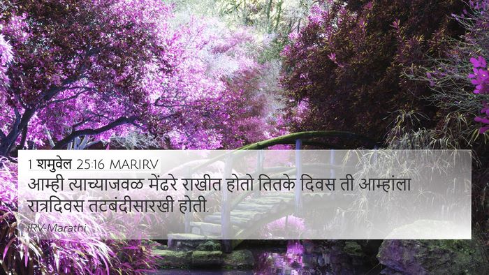 1 शमुवेल 25:16 MARIRV Bible Verse Image