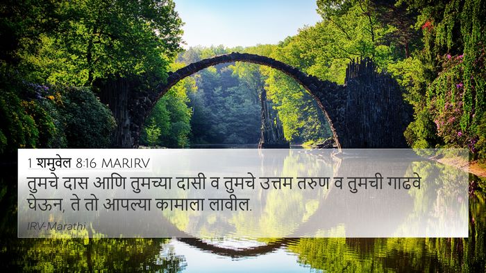 1 शमुवेल 8:16 MARIRV 4K Wallpaper - तुमचे दास आणि - 4K Wallpaper Bible Verse