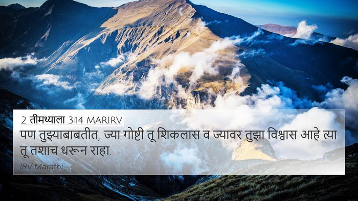 2 तीमथ्याला 3:14 MARIRV Bible Verse Image
