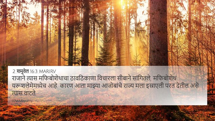 2 शमुवेल 16:3 MARIRV 4K Wallpaper - राजाने त्यास - 4K Wallpaper Bible Verse