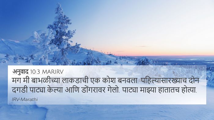 अनुवाद 10:3 MARIRV 4K Wallpaper - मग मी बाभळीच्या - 4K Wallpaper Bible Verse
