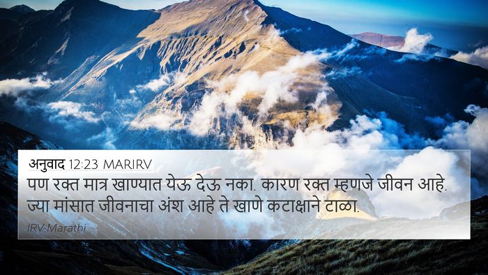 अनुवाद 12:23 MARIRV 4K Wallpaper - पण रक्त मात्र - 4K Wallpaper Bible Verse