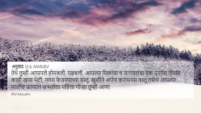 अनुवाद 12:6 MARIRV Bible Verse Image