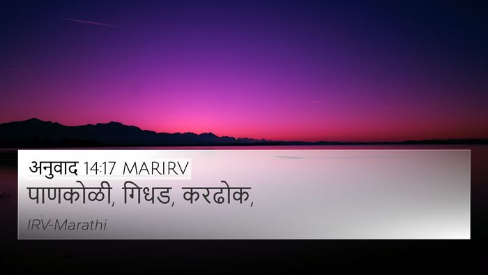 अनुवाद 14:17 MARIRV 4K Wallpaper - पाणकोळी, गिधड, - 4K Wallpaper Bible Verse