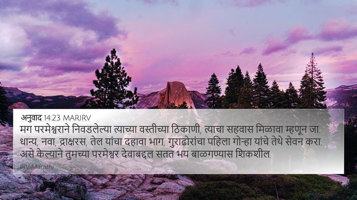 अनुवाद 14:23 MARIRV Bible Verse Image
