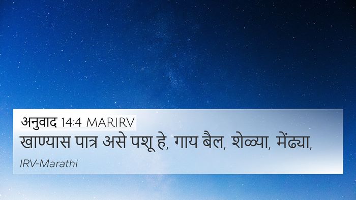 अनुवाद 14:4 MARIRV 4K Wallpaper - खाण्यास पात्र असे - 4K Wallpaper Bible Verse