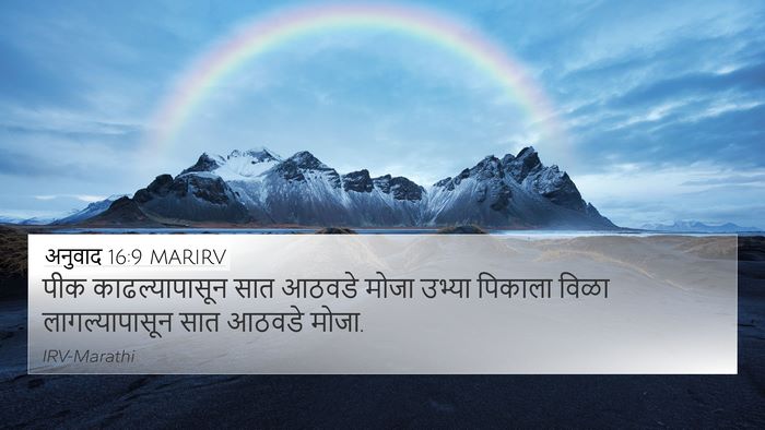 अनुवाद 16:9 MARIRV Bible Verse Image