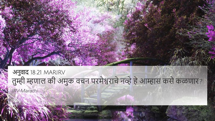 अनुवाद 18:21 MARIRV Bible Verse Image