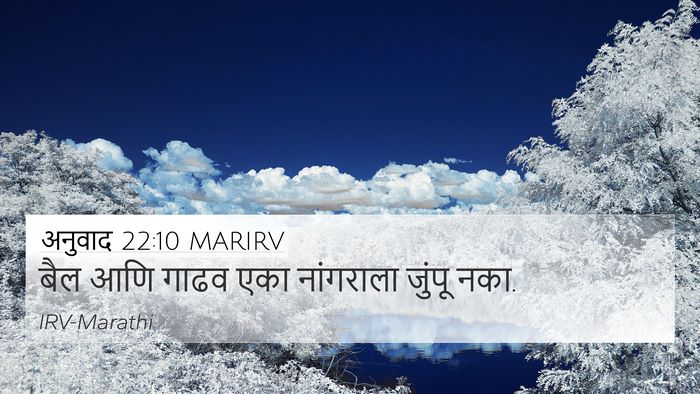 अनुवाद 22:10 MARIRV 4K Wallpaper - बैल आणि गाढव एका - 4K Wallpaper Bible Verse
