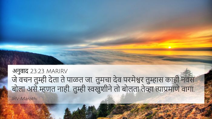 अनुवाद 23:23 MARIRV Bible Verse Image