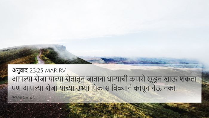 अनुवाद 23:25 MARIRV Bible Verse Image