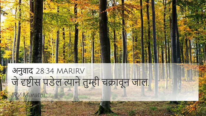 अनुवाद 28:34 MARIRV Bible Verse Image