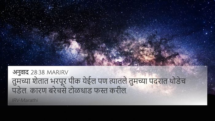 अनुवाद 28:38 MARIRV Bible Verse Image