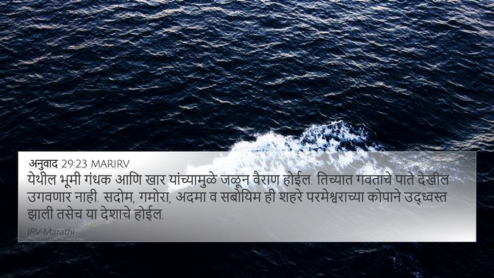 अनुवाद 29:23 MARIRV Bible Verse Image