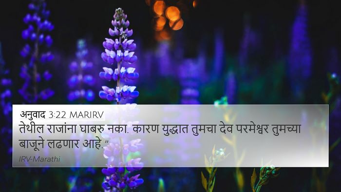 अनुवाद 3:22 MARIRV Bible Verse Image