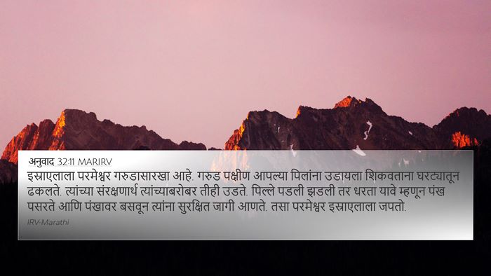 अनुवाद 32:11 MARIRV Bible Verse Image