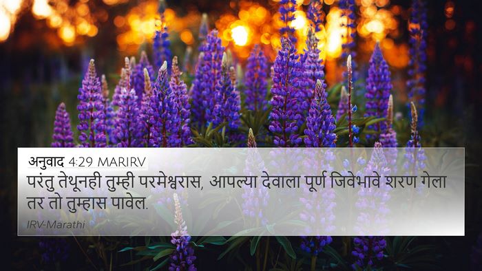 अनुवाद 4:29 MARIRV Bible Verse Image